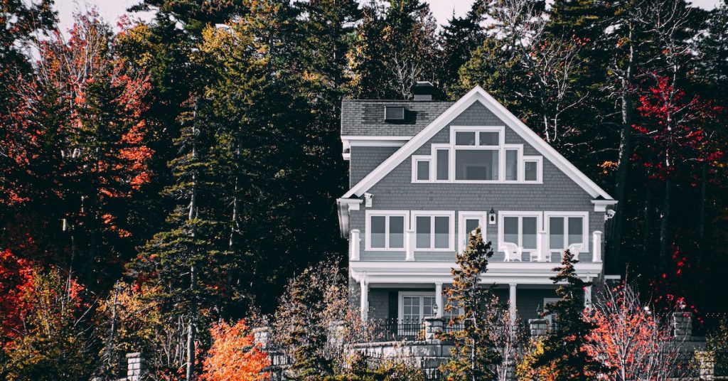 Building Wealth: Cash or Property? Building Wealth: Cash or Property?
